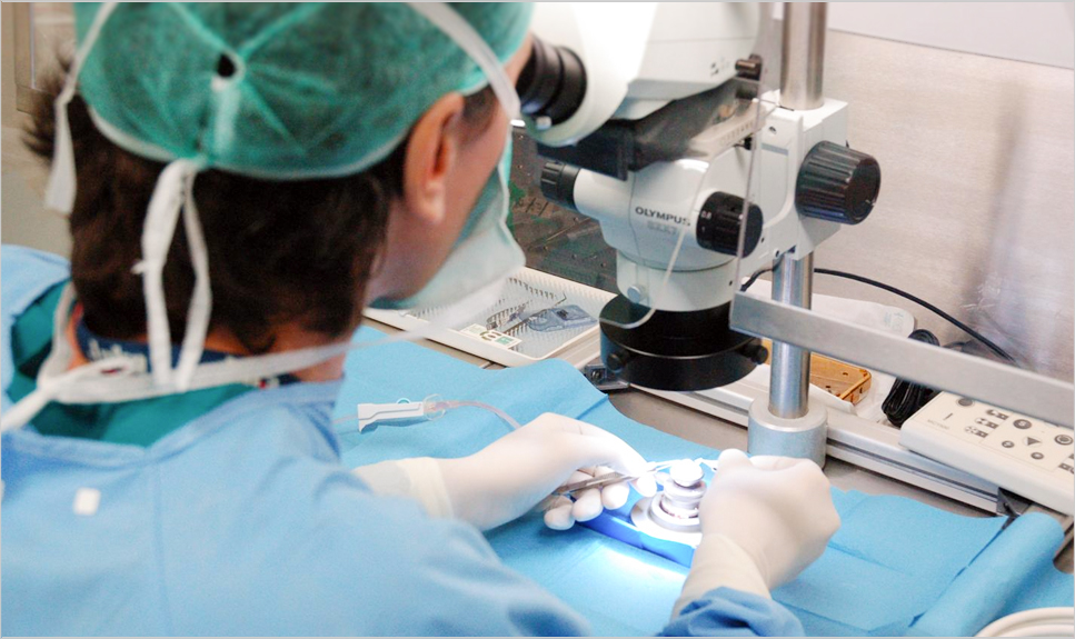 Laboratorista manipulando una córnea con microscopio.